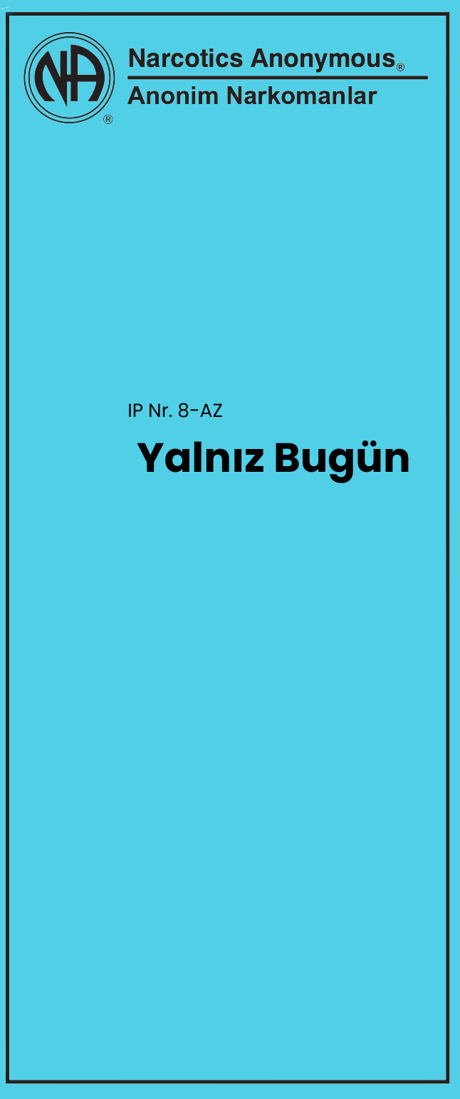 IP No.8 AZ  Yalnız  bu gün